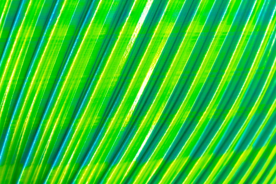 Tô Đựng Trái Cây Lớn với Hai Chiều Cao Khác Nhau - Image 17