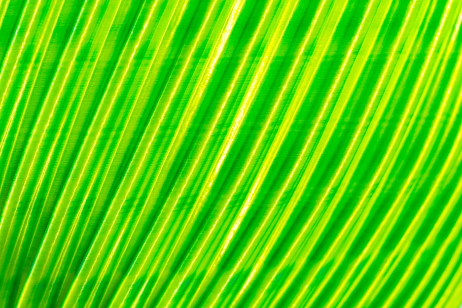 Tô Đựng Trái Cây Lớn với Hai Chiều Cao Khác Nhau - Image 19