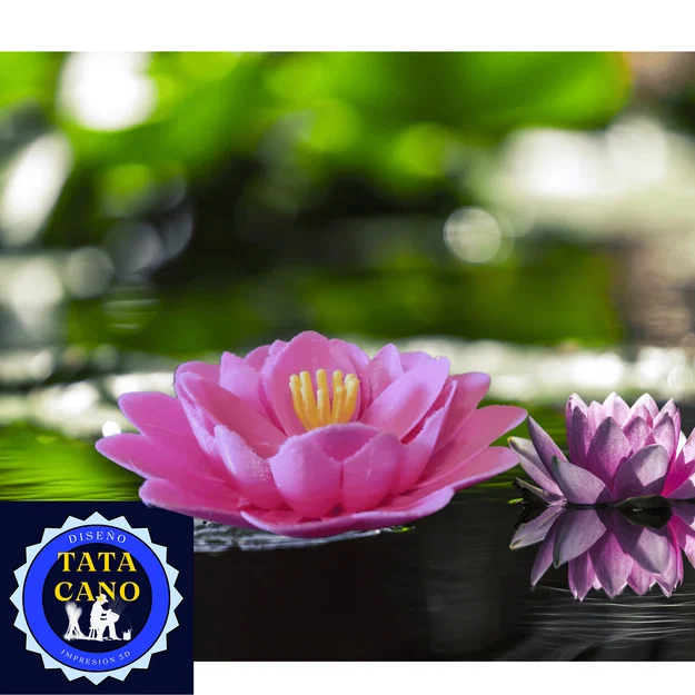 Khay cắm nhang hình hoa sen 3D - Phụ kiện decor độc đáo - Image 3