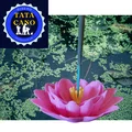 Khay cắm nhang hình hoa sen 3D - Phụ kiện decor độc đáo - Thumbnail 8