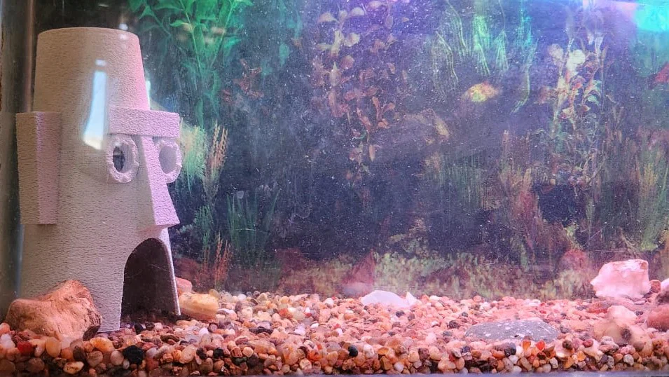 Nhà của Squidward, SpongeBob (Mô hình trang trí hồ cá) - Image 9