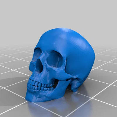 Núm điều khiển điều hòa hình đầu lâu cho Geo/Chevy Tracker (1991-1998)