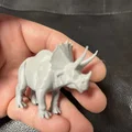 Mô hình khủng long Triceratops - Thumbnail 6