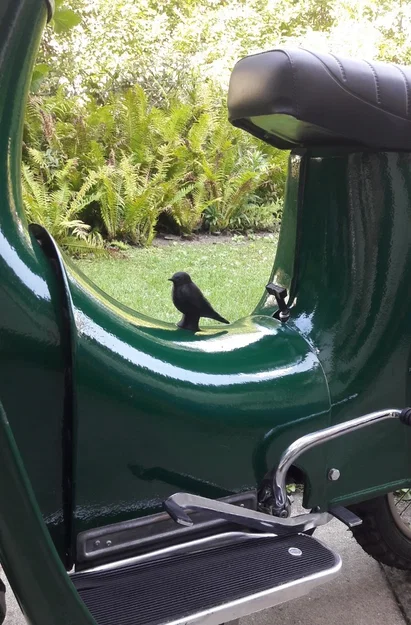 Nút Che Lốc Máy Simson Schwalbe - Image 1