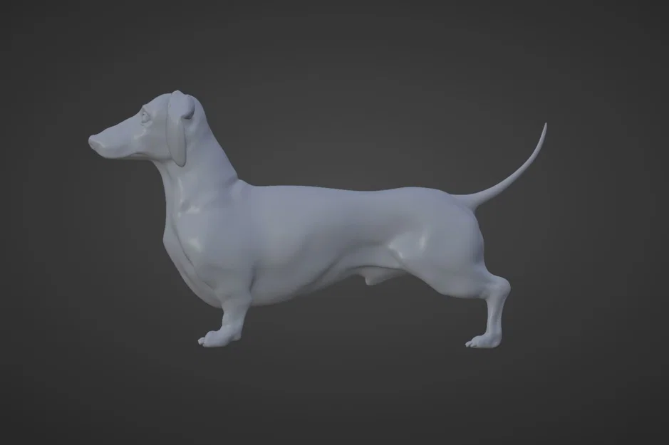 Mô hình chú chó Dachshund - Chú chó xúc xích Frank - Image 3