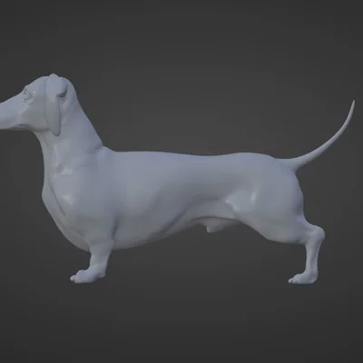 Mô hình chú chó Dachshund - Chú chó xúc xích Frank