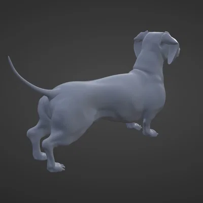 Mô hình chú chó Dachshund - Chú chó xúc xích Frank