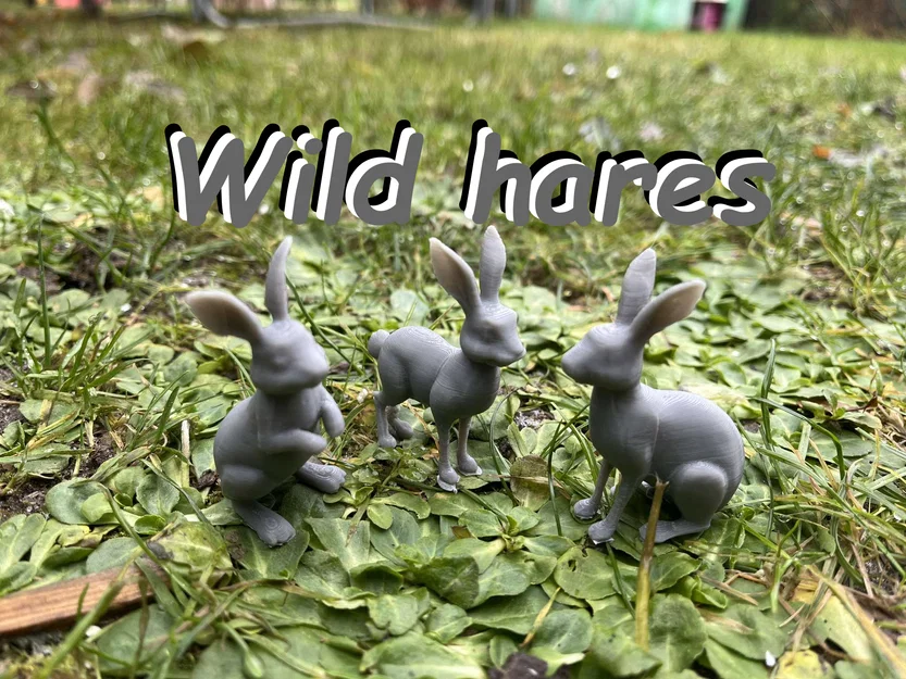 Mô hình thỏ rừng (Wild hares) - Image 1