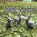 Mô hình thỏ rừng (Wild hares) - Thumbnail 1