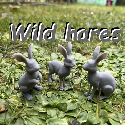 Mô hình thỏ rừng (Wild hares)