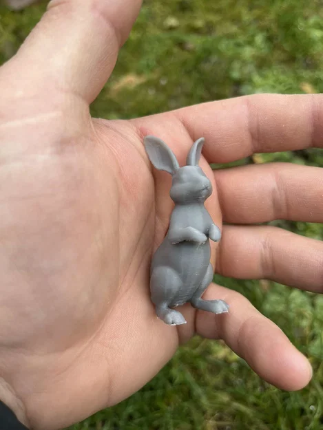 Mô hình thỏ rừng (Wild hares) - Image 2