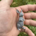 Mô hình thỏ rừng (Wild hares) - Thumbnail 2