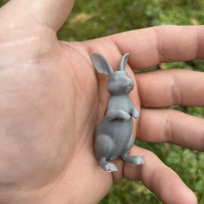 Mô hình thỏ rừng (Wild hares)