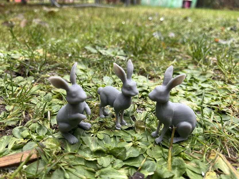 Mô hình thỏ rừng (Wild hares) - Image 3