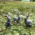 Mô hình thỏ rừng (Wild hares) - Thumbnail 3