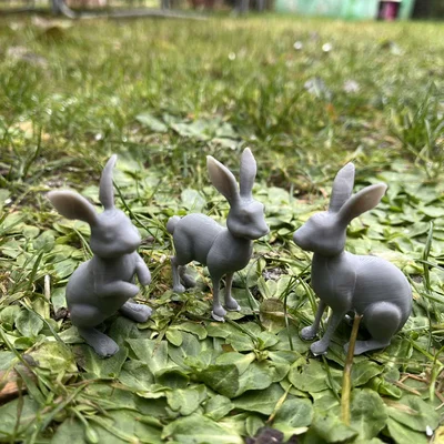 Mô hình thỏ rừng (Wild hares)