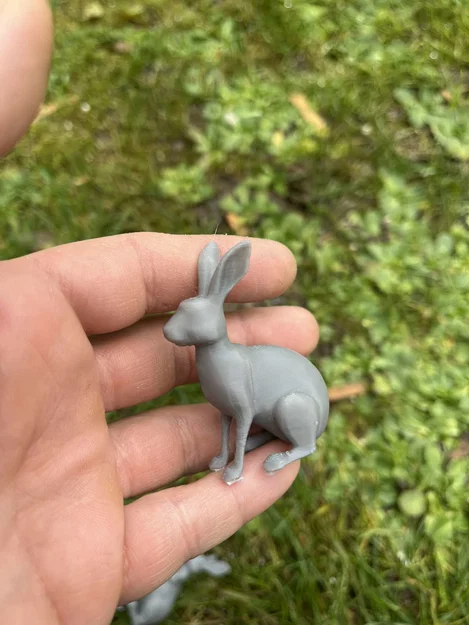 Mô hình thỏ rừng (Wild hares) - Image 4