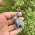 Mô hình thỏ rừng (Wild hares) - Thumbnail 4