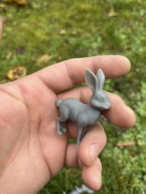 Mô hình thỏ rừng (Wild hares) - Image 5