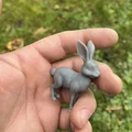 Mô hình thỏ rừng (Wild hares) - Thumbnail 5