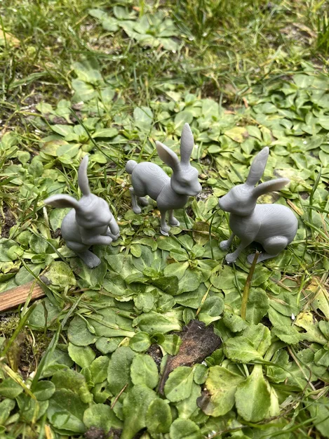 Mô hình thỏ rừng (Wild hares) - Image 6