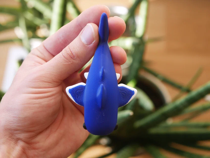 Chú Cá Mập Nhỏ Đáng Yêu Không Răng - Shark with No Bite - Image 2