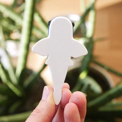 Chú Cá Mập Nhỏ Đáng Yêu Không Răng - Shark with No Bite