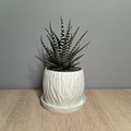 Chậu cây Modern Planter phong cách hiện đại - Thumbnail 1