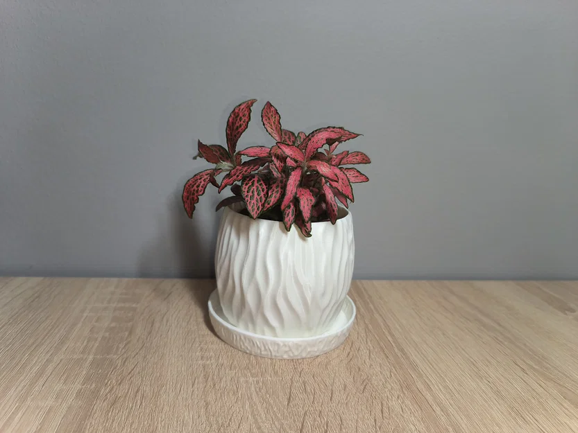 Chậu cây Modern Planter phong cách hiện đại - Image 2