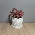 Chậu cây Modern Planter phong cách hiện đại - Thumbnail 2