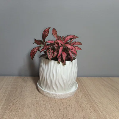 Chậu cây Modern Planter phong cách hiện đại