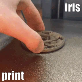 Mechanical iris | In trực tiếp (print in place) | Fidget toy