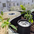 Chậu cây Âm Dương (có tính năng tự tưới nước) - Thumbnail 1