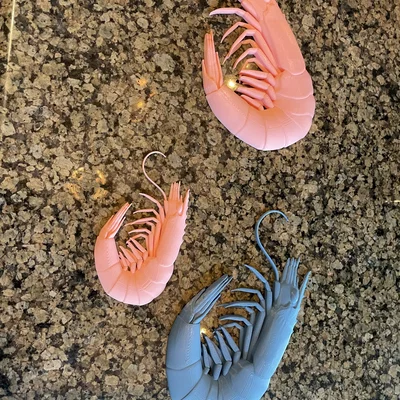 Mô hình chú Tôm (Shrimp)