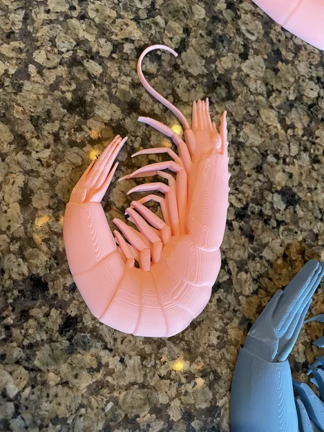 Mô hình chú Tôm (Shrimp) - Image 2