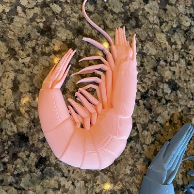 Mô hình chú Tôm (Shrimp)
