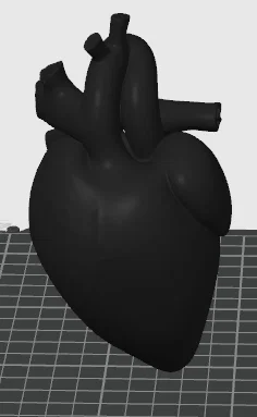 Mô hình trái tim người 3D - File STL giải phẫu chi tiết - Image 1