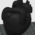 Mô hình trái tim người 3D - File STL giải phẫu chi tiết - Thumbnail 2