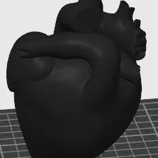 Mô hình trái tim người 3D - File STL giải phẫu chi tiết