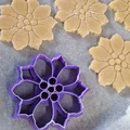 Khuôn Cắt Bánh Quy Hoa Trạng Nguyên (Poinsettia Cookie Cutter) - Thumbnail 1