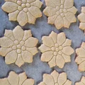Khuôn Cắt Bánh Quy Hoa Trạng Nguyên (Poinsettia Cookie Cutter) - Thumbnail 2
