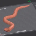 Mô hình rắn Curious Snake in 3D đẹp mắt và dễ in - Thumbnail 4