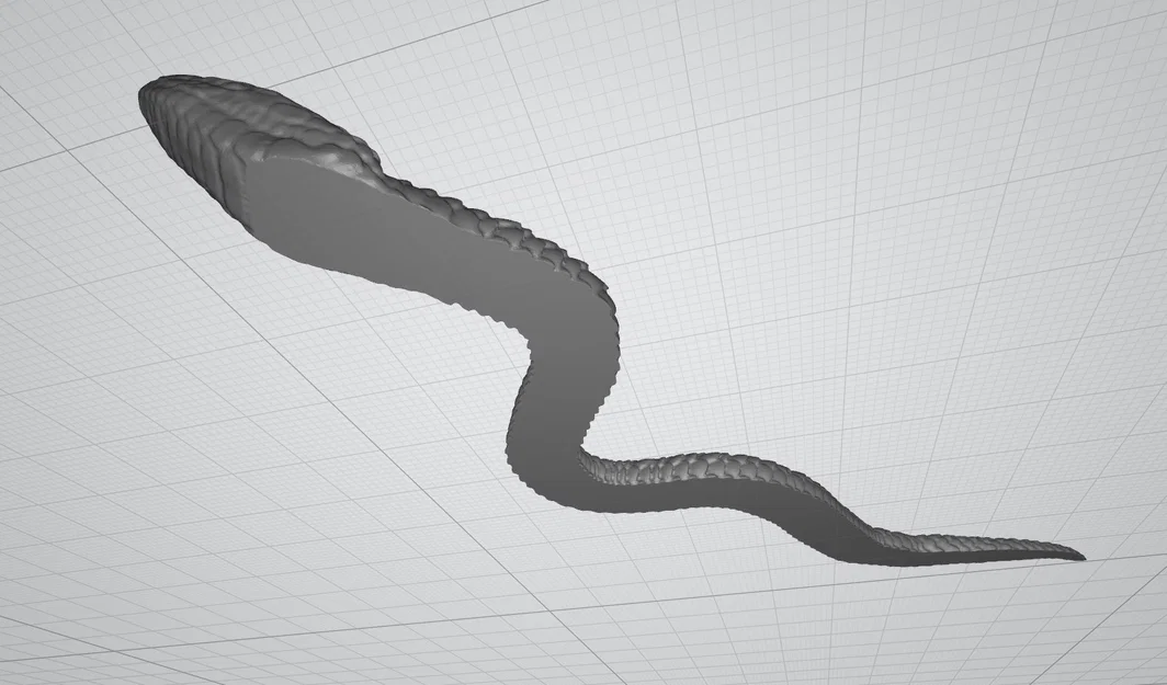 Mô hình rắn Curious Snake in 3D đẹp mắt và dễ in - Image 7