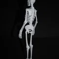Bản sửa lỗi ngón tay và ngón chân cho mô hình Skeleton - Thumbnail 3
