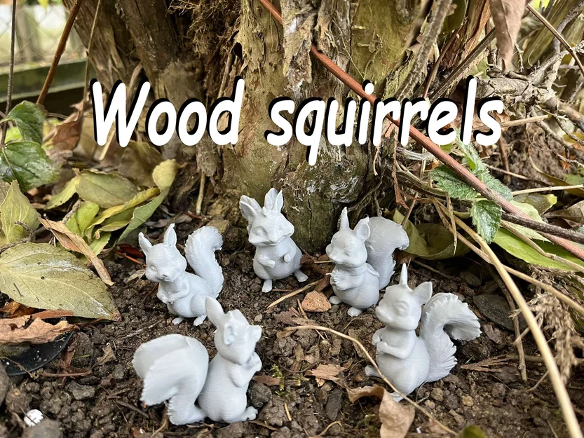 Sóc gỗ trong rừng (Wood squirrels) - Image 1