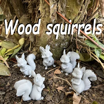 Sóc gỗ trong rừng (Wood squirrels)