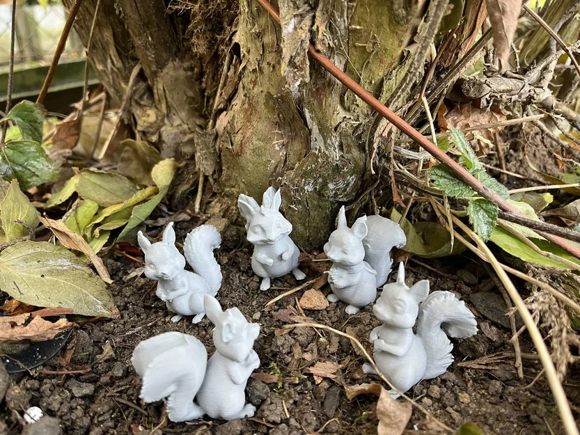 Sóc gỗ trong rừng (Wood squirrels) - Image 2