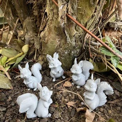 Sóc gỗ trong rừng (Wood squirrels)