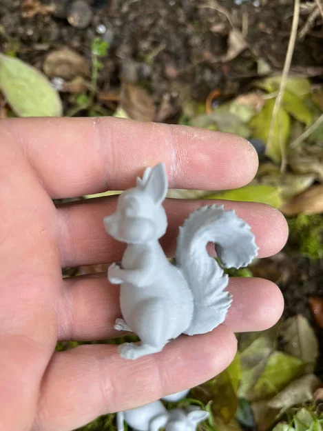 Sóc gỗ trong rừng (Wood squirrels) - Image 3