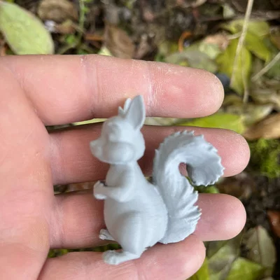 Sóc gỗ trong rừng (Wood squirrels)
